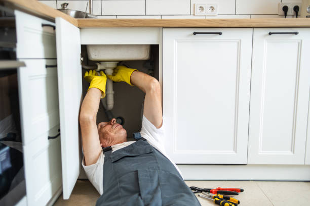 Best Residential Plumbing Services  in Dixon, IL