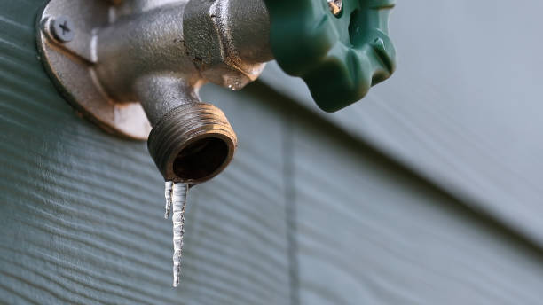 Best Plumbing Repair Near Me  in Dixon, IL
