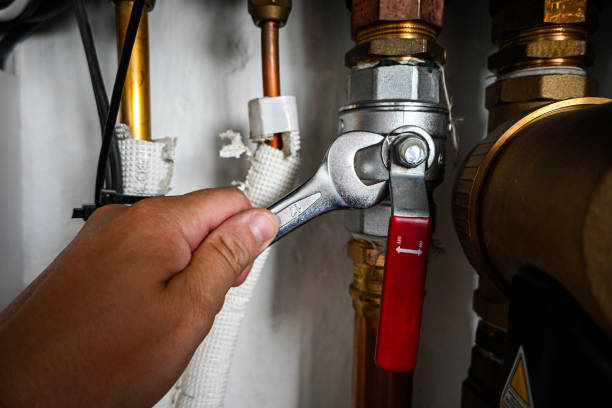 Best Septic Systems  in Dixon, IL